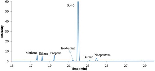 Figure 1. GC spectrum of gas collected from Al-Mg-CH3Cl reaction.