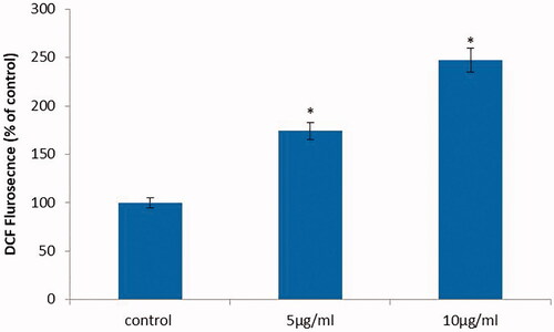 Figure 7. Anticancer activity of biosynthesized Siberian ginseng gold nanoparticle. Apoptotic effect of SG-GNPs via generation of reactive oxygen generation in murine melanoma cell line B16 was assessed using H2DCFDA staining technique. B16 murine melanoma cells were treated with 5 and 10 µg/ml SG-GNPs and incubated for 24 h. The control and treated cells were then stained with 2',7'-dichlorodihydrofluoresceindiacetate stain for 15 min. The experiments were performed in triplicates.