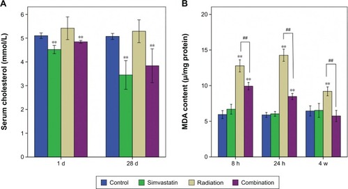 Figure 2 Serum cholesterol and MDA content in SMGs of the four groups at different time intervals.