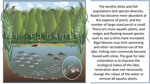 Figure 2. Sample description used on the questionnaire.