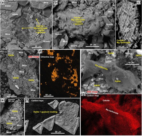 Figure 7. SEM backscatter electron images (BSE) and some supporting element maps for evaporative salts on and in the dry sedimentary bed of Sutton Salt Lake. A, A window through the silicate surface to carbonate-dominated amorphous evaporative cement. B, Exposed patch of amorphous evaporative cement incorporating silicate particles. C, Crystalline calcite with minor admixed Mg-carbonate. D, Amorphous halite cementing silicates, viewed in BSE and with a Cl map of the same area. E, Abundant amorphous halite cementing silicates. F, Crystalline halite, with minor gypsum coating, that has precipitated on the mounting medium during sample preparation. G, An amorphous particle of Na-carbonate accompanied by calcite and halite, viewed in BSE and with a C map of the same area.