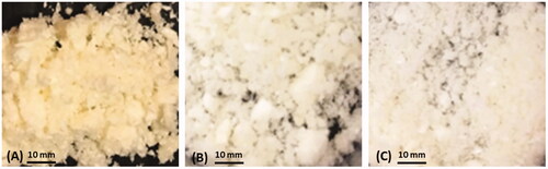 Figure 2. Photographs of uncoated NLCs and Eu-NLCs after lyophilization; (A) uncoated-NLCs; (B) 5%Eu-NLCs, and (C) 7.5%Eu-NLCs.