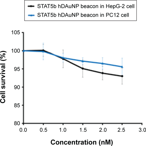 Figure S3 Cytotoxicity of STAT5b hDAuNP beacon.Notes: Cell viability was determined by the MTT assay following 24 hours of continuous exposure to various concentrations of hDAuNP beacon. STAT5b hDAuNP beacon did not show obvious cytotoxicity at concentrations up to 2.5 nM.Abbreviations: hDAuNP, hairpin DNA-coated gold nanoparticle; MTT, 3-(4,5-dimethylthiazol-2-yl)-2,5-diphenyltetrazolium bromide; STAT5b, signal transducer and activator of transcription 5b.