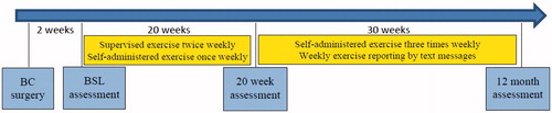 Figure 1. Timeline and overview of the 1-year intervention for 158 women treated for primary breast cancer with axillary lymph node dissection, LYCA study, East Denmark, 2015–2018. BC: breast cancer; BSL: baseline.