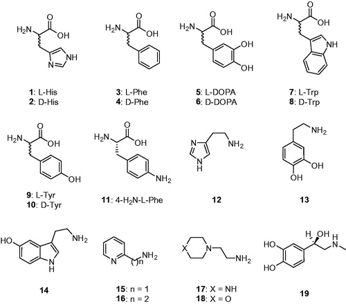 Figure 1. Amino acids 1–11 and amines 12–19 investigated as TweCAδ activators.