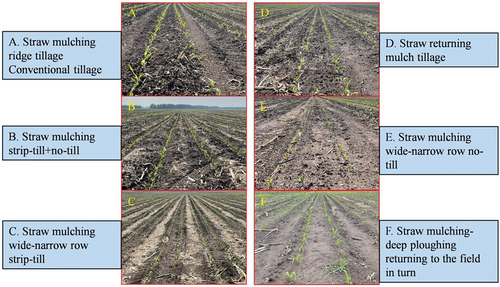 Figure 2. Six tillage experiments and associated photographs in 2022 (The photographs were taken on 27 May 2022).
