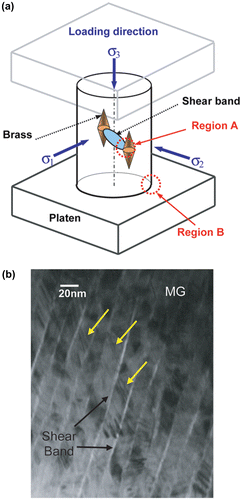 Figure 3. (colour online) (a) Schematic representation of the nominal locations where the TEM samples were obtained from the brass reinforced Ni-based MG composite; (c) BF TEM image obtained from the Ni-based monolithic BMG after deformation showing nanocrystallines (marked by the yellow arrows) generated around shear bands near the corner of the specimen (region B in Figure 3a).