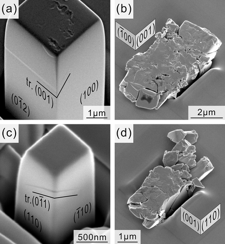 Figure 2. Deformation microstructures of micropillar specimens of α-Nb5Si3 single crystals with orientations of (a) [021] (L = 3.1 μm), (b) [010] (L = 2.4 μm), (c) [001] (L = 0.75 μm) and (d) [1ˉ10] (L = 1.4 μm). All images were taken along the oblique direction 30° from the loading axis