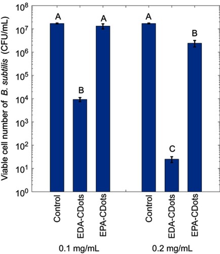 Figure 2 The antibacterial activity of EDA-CDots and EPA-CDots. Viable cell reductions in B. subtilis cells by the treatments of EDA-CDots and EPA-CDots at 0.1 and 0.2 mg/mL with light illumination for 1 hr. Statistical analysis was performed on the results of each CDots concentration (0.1 and 0.2 mg/mL) respectively. Different letters above the bars indicate statistical difference between the results (P<0.05); identical letters above the bars indicate no statistical difference.Abbreviations: EDA, 2,2-(ethylenedioxy)bis(ethylamine); CDots, carbon dots; EPA, ethoxypropylamine.