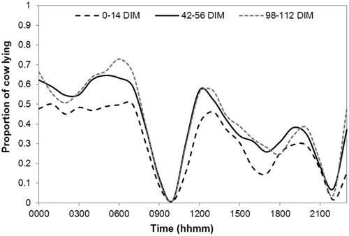 Figure 1. Daily lying behaviour pattern in three different stages of lactation (0–14 DIM, 42–56 DIM, 98–112 DIM). DIM: days in milk.