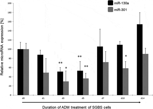 Figure 2. miR-130a and miR-301 expression during adipogenic differentiation of SGBS cells. Legend: black bars: miR-130a expression, grey bars: miR-301 expression. Respective d0 values are set for 100%. Abbreviations: d = day; *p < 0.05; **p < 0.01; n = 3, Student’s t-test, mean ± standard deviation