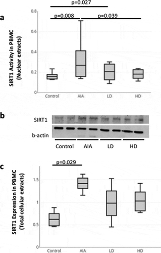 Figure 2. SIRT1 activity and expression in PBMCs isolated from healthy control rats and rats with AIA left untreated or treated with GCs. (a) Nuclear SIRT1 activity in PBMCs isolated from healthy rats (n = 10) and rats with AIA treated with low (n = 10) and high (n = 10) doses of prednisolone or left untreated (n = 10) was measured as indicated in Materials and Methods. Boxes show mean values, with Q1-Q3 range. (b) Western-bot analysis for SIRT1 expression in PBMCs isolated from healthy rats (n = 4) and rats with AIA treated with low (n = 4) and high (n = 4) doses of prednisolone or left untreated (n = 4). Beta-actin was used as an internal control. Representative data are shown. (c) Ratio of SIRT1/beta-actin expression as measured by arbitrary units (n = 16 rats). Boxes show mean values, with Q1-Q3 range