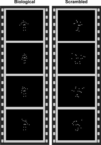 Figure 1 Point-light displays showing biological versus scrambled motion paradigm.