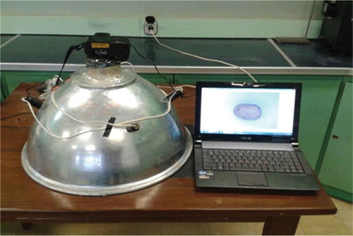 FIGURE 3 Image acquisition system.