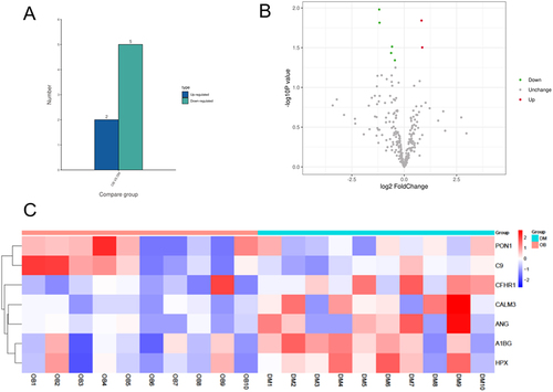 Figure 2 Identification of differentially expressed plasma exosome proteins. (A and B). A label-free quantitative mass spectrometry analysis was performed and identified 2 significantly upregulated proteins and 5 significantly downregulated proteins in obese patients with type 2 diabetes. (C). Heatmap of differentially expressed plasma exosome proteins.