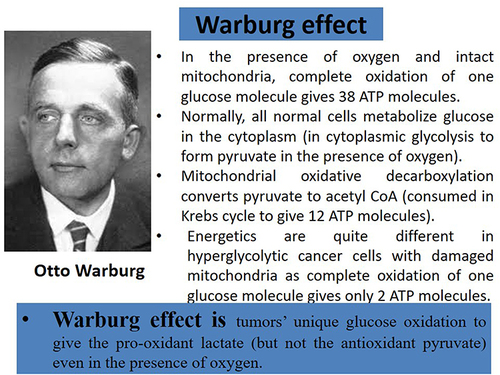 Figure 1 The Warburg effect is the hallmark of malignancy and differentiates energetics in hyperglycolytic cancer cells from normal cells.