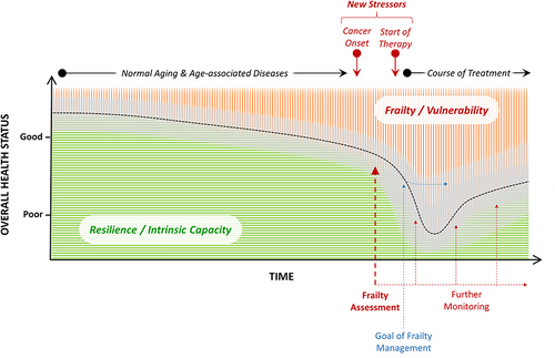Figure 1 Illustration of the general concept, impact, assessment, management, and monitoring of frailty in older adults with cancer (red area represents the magnitude of a patient’s frailty and green area represents his/her intrinsic capacity at a given point in time, respectively; the black dotted curve reflects the overall health status at specific time points, with the gray band indicating inter-individual variance).
