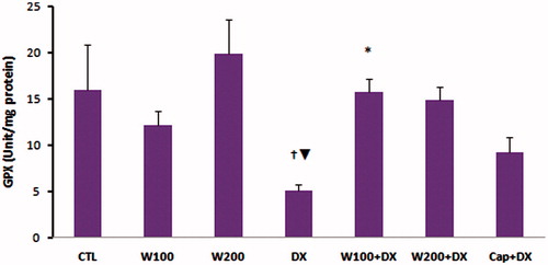 Figure 3. Glutathione peroxidase (GPX) of heart tissue in different animal groups. n = 6–8. Values are mean ± SEM. CTL: control; W100: animal group which received 100 mg/kg/d of walnut extract; W200: animal group which received 200 mg/kg/d of walnut kernel extract; DX: animal group which received dexamethasone 0.03 mg/kg/d; W100 + DX: animal group which received 100 mg/kg/d walnut extract + dexamethasone; W200 + DX: animal group which received 200 mg/kg/d walnut extract + dexamethasone; Cap + DX: animal group which received 25 mg/kg/d captopril + dexamethasone. ▾p < 0.01 vs. W200 group, †p < 0.05 vs. CTL and W100 groups, and *p < 0.05 vs. DX group.