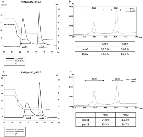 Figure 3. Separation of BsAb based on binding valency at various acidic pH while reducing the conductivity in a stepwise manner. (a) Chromatograms show the separation of Ab#1 and Ab#2 at pH 2.7 while the conductivity was reduced in a stepwise manner. A 1x PBS(−) wash was used before the elution step. A key in the figure gives the meaning of each line. (b) The CIEX chromatogram of the samples derived from peak 1 and peak 2 in (A) are shown in dotted and slide lines, respectively. Range of the peak assigned for Ab#1 and Ab#2 is specified by each arrow and the content of each peak area is calculated as shown in the bottom panel. (c and d) The same set of experiments done in (a) were conducted at pH 3.0 (c) and the CIEX results are shown in (d).