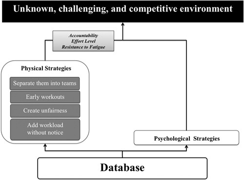 Figure 4. Layers of analysis for examples of MT training (n = 54).