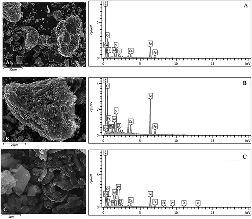 Figure 1. SEM images of the BFD at (A) 200x, (B) 400x, and (C) 10,000x magnification and corresponding spectra obtained by EDS.