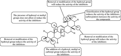 Figure 10. Chemical groups of triterpenic acids involved in the inhibition of hyaluronidase.
