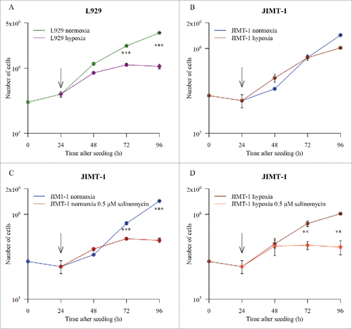 Figure 1. Growth curves for L929 and JIMT-1 cells cultivated under normoxic or hypoxic (1% O2) conditions without or with treatment with 0.5 µM salinomycin. The cells were seeded on day 0. Twenty-four h after seeding (arrows in figures), the cells were subjected to the different incubation conditions shown in the figures. The cell number was determined by counting in a hemocytometer after detachment of cells with trypsin. Data represents mean ± SD for n = 3. *P < 0.05, **P < 0.005, ***P < 0.0005, Students T-test (unpaired).