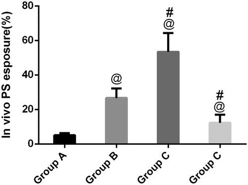 Figure 3. Flow cytometric detection of PS exposure. A regular distribution of PS is shown after calcium oxalate treatment in group B. No PS exposure was observed in group A. In group C, calcium oxalate-treated rats induced by GdCl3, PS exposure of such rats significantly increased in renal tubular epithelial cells, and in group D, PS exposure decreased compared with group B. @p<.05 compared with group A; #p<.05 compared with group B.