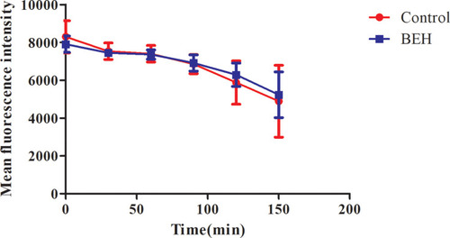 Figure 5 Effect of benserazide hydrochloride (BEH) on the efflux of Rh6G in C. albicans. The efflux of Rh6G in the absence and presence of BEH (32 μg/mL) were determined by a flow cytometer. Mean fluorescence intensity represents the intracellular Rh6G in C. albicans. Data are the median of three independent experiments.