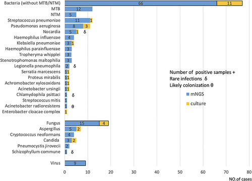 Figure 4 The pathogens distribution of positivity between mNGS and BALF culture for LRTIs. A total of 25 different pathogens were detected in the LRTIs group with their corresponding frequencies plotted in histograms. In general, bacteria (including MTB/ NTM), the fungi, and viruses, were found to be significantly more detectable in mNGS than in BALF culture.