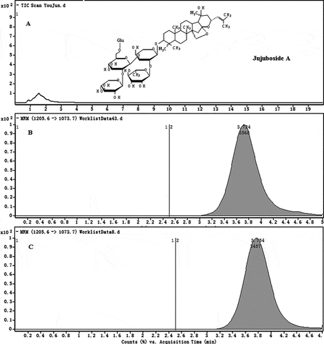 Figure 1  Representative chromatograms for: (a) MS2-scan chromatograms of blank GAM solution; (b) MRM chromatograms of the standard of JuA; (c) MRM chromatograms of the sample.