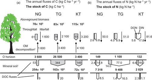 Figure 3. The stock and the annual fluxes of carbon (C) (a) and nitrogen (N) (b) via litterfall, organic matter (OM) decomposition, throughfall and soil solution. †The data of OM decomposition rates were cited from Shinjo et al. (2006). ‡The stocks of C and N in soil at the depths of 0 to 45 cm were counted. DOC, dissolved organic carbon; O, organic; NG, Nagano; TG, Tango; KT, Kyoto.