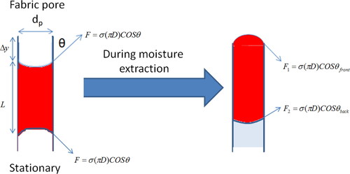 Figure 11. Schematic representation of microscopic process of water extraction from a single pore in a fabric.
