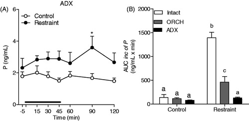 Figure 5. Effect of adrenalectomy on progesterone (P) response to restraint stress for 60 min (black line) in male rats. The rats were adrenalectomized 7 d prior to experiment (ADX Control: n = 7 and ADX Restraint: n = 6) and were a solution of 0.9% saline plus corticosterone (25 mg/kg) to drink. (A) Blood samples were withdrawn through a jugular catheter before (−5 min), during (15, 30, 45 and 60 min) and after (90 and 120 min) the stress session. (B) Area under the curve with respect to increase (AUCinc) of the total secretion of P during the stress response period (15–60 min) in intact, orchiectomized (ORCH) and adrenalectomized (ADX) male rats. The data from intact and ORCH rats are the same previously presented in Figure 2. A two-way ANOVA followed by a Bonferroni post hoc test were used in all analyses. The data are shown as the mean ± SEM. *p < 0.05 versus control group. Different letters represent significantly different values.