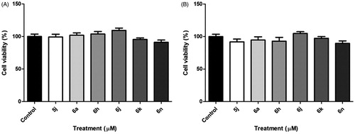 Figure 4. In vitro cytotoxicity activity of compounds 5j, 6a, 6 h, 6j, 6k and 6n to cell viability of the primary astrocyte culture at 100 μM, after for 48 h (A) and 72 h (B) the treatment.