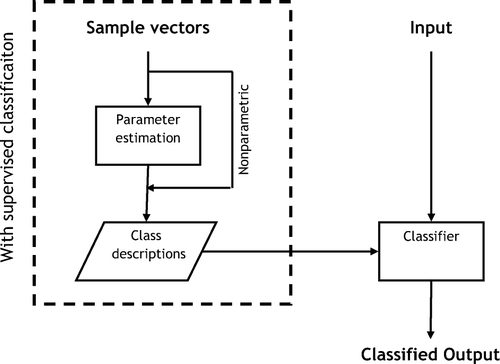 Figure 1.  Main alternatives for MSA.