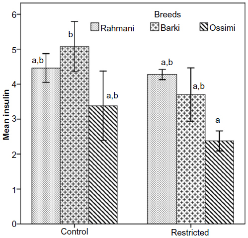 Figure 3 Insulin levels (μIU/mL) in control and diet-restricted Barki, Rahmani, and Ossimi ewes.