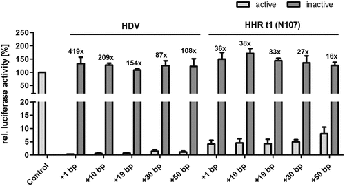 Figure 3. Dual-luciferase assay of constructs containing the (shortened) hepatitis delta virus (HDV) ribozyme or the N107 type I hammerhead ribozyme (HHR t1) in different positions of the 3’-UTR of the Renilla luciferase (hRluc). The relative hRluc activity is shown for the active and inactive ribozyme, respectively. Shown are mean and standard deviation of three independent measurements, each performed in technical triplicates. The ON/OFF-ratios are indicated above the bars.