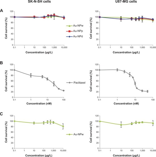 Figure 3 Safety of Au-NPs on human cancer cells. (A) MTT assay on SK-N-SH cells (left) and U87-MG cells (right) treated with Au-NPw, Au-NPp, and Au-NPd for 72 hours. (B) CellTiter-Glo® assay on SK-N-SH cells (left) and U87-MG cells (right) treated with Au-NPw for 72 hours. (C) MTT assay on SK-N-SH cells (left) and U87-MG cells (right) treated with paclitaxel as a positive control.Abbreviations: Au-NPs, gold nanoparticles; Au-NPd, Au-NPs prepared in dextran; Au-NPp, Au-NPs prepared in polyethylene glycol; Au-NPw, Au-NPs in pure deionized water; MTT, 3-(4,5-dimethylthiazol-2-yl)-2,5-diphenyltetrazolium bromide; SK-N-SH, neuroblastoma; U87-MG, glioblastoma.