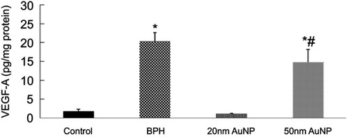 Figure 6 Effect of AuNPs treatment on the prostatic tissue level of VEGF-A. Data represent the mean ± SEM.*P<0.05 compared to the control group. #P<0.05 compared to the BPH group.Abbreviations: BPH, benign prostatic hyperplasia; AuNPs, gold nanoparticles; VEGF-A, vascular endothelial growth factor-A.