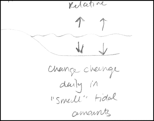 FIGURE 4: Drawing from student “E.” He associated relative sea-level change with tides (daily change in “small” tidal amounts), which is another example of a misconceived timescale in relative sea-level change, “daily amount of change.” Also notice that the point of reference to measure the change is again the arrows pointing to what we interpret as the seafloor, not to a local datum.