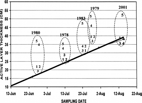 FIGURE 9. Seasonal thaw curve for undisturbed tussock-shrub tundra (solid line) in the Imuruk Lake area and averaged thaw depths (n = 10) at 5 tussock-shrub tundra sites burned in 1977 and measured at various times postfire from 1 to 24 yr