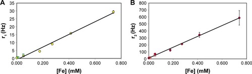 Figure 1 The relationship between the measured iron concentration and the longitudinal (r1) (A) and transverse (r2) (B) water relaxation rate enhancements at 1.0 T in 1% agarose gels (filled circles) containing μMACS beads, and (open squares) anti-PSMA-conjugated μMACS beads bound to LNCaP cells in 1% agarose.Notes: The error bars reflect the standard error from the fits to the relaxation time measurements. The slopes give relaxivities of r1 =38.3±1.1 Hz/mM, and r2 =800.4±15.9 Hz/mM. Note that we observed no differences between the relaxivities of the SPIONs when free or bound to cells.Abbreviations: PSMA, prostate specific membrane antigen; SPIONs, superparamagnetic iron oxide nanoparticles.