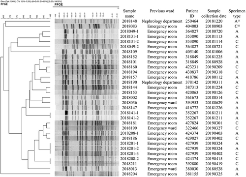 Figure 4 The dendrogram of PFGE results of CRE strains. The samples were from the isolates of admission screening rectal swabs and clinical culture afterward. ※A: admission screening rectal swabs, C: clinical samples afterword. Four pairs of the strains were from the same clone of the pathogen and 6(75%) of the patients were transferred from emergency medical unit. The samples collected from a patient on admission and the clinical culture during his stay in the EICU showed same PFGE patterns.