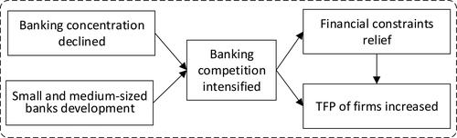 Figure 1. The role of financial constraints in banking competition affecting firm TFP.Source: The authors.