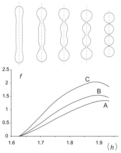 Figure 3 Free energy of a two-component nanovesicle as a function of the average mean curvature of the membrane for three interaction constants, ξ1/2kTRs2 (A) 0.001, (B) 0.020, and (C) 0.040. It was taken that ξ1 = ξ1* and ξ2 = ξ2*.Notes: The values of other model parameters were ξ1/2kTRs2 = 0.001, h1,m = 2, d1,m = 2, h2,m = 0, d2,m = 0, M1,T = 0.1 MT, v = 0.5. Five characteristic equilibrium shapes obtained by solving the system of Euler-Lagrange equations subject to isotropic bending energy are also depicted at the corresponding 〈h〉 values.