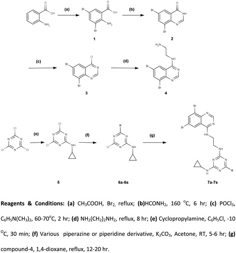 Scheme 1. Overview of the synthetic strategy for the synthesis of N2-cyclopropyl-N4-(2-(6,8-dibromoquinazolin-4-ylamino)ethyl)-6-R-1,3,5-triazine-2,4-diamine (7a–7s).