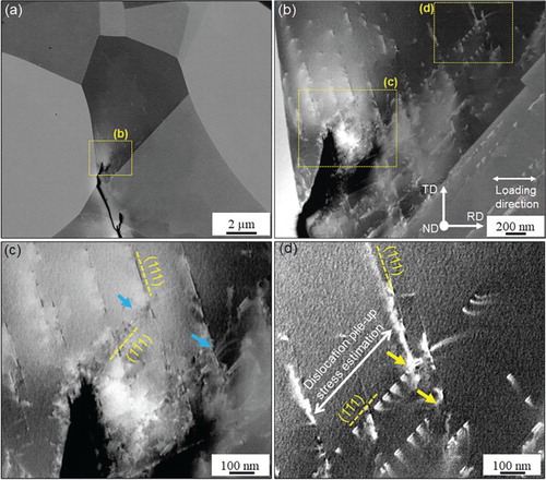 Figure 4. Electron channeling contrast (ECC) images of the Fe-25Cr-1N steel: (a) Dislocation structure at the crack tip corresponding to the crack tip outlined by the red dashed lines in Figure 3(c), (b), (c), and (d) magnified images of the regions outlined by the dashed lines in Figure 4(a) and (b). The blue and yellow arrows indicate the prevention of the dislocation motion at the intersections of two slip systems for each location shown in Figure 4(c and d). The normal and tensile direction (//RD) in the grain surrounding the crack tip are and respectively.