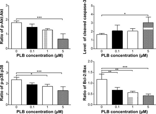 Figure 21 Effects of PLB treatment on the expression and phosphorylation levels of PI3K, Akt, mTOR, p38MAPK, and cytochrome c in PC-3 cells.