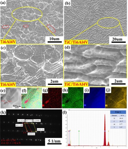 Figure 5. Microstructure of the SLM-formed Ti6Al4 V and TiC/Ti6Al4 V composites at 900°C, 1s−1 strain rate and 15% deformation: (a, c) Ti6Al4 V; (b, d) TiC/Ti6Al4 V composites; (e-j) precipitated phase TiC surface scan element distribution map; (k) SAED at point 2; (l) EDS at point 1.